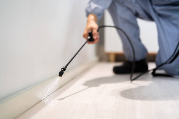 Pest Prevention Services in South Henderson, NC