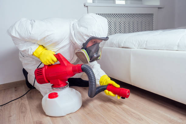 Best Best Pest Control Companies  in South Henderson, NC