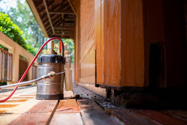 Best Affordable Pest Control Services  in South Henderson, NC