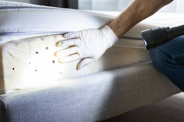 Best Exterminator Services  in South Henderson, NC