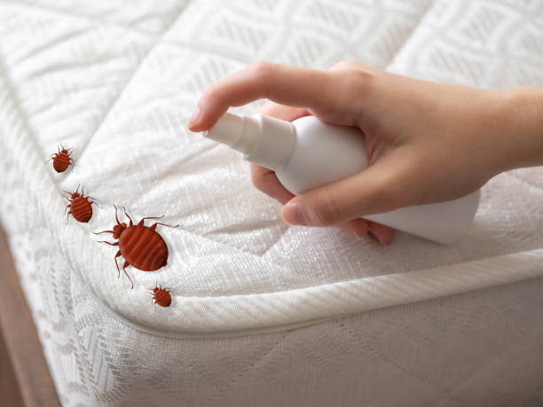 Best Flea Control Services  in South Henderson, NC