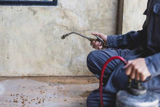 Best Pest Removal Services  in South Henderson, NC
